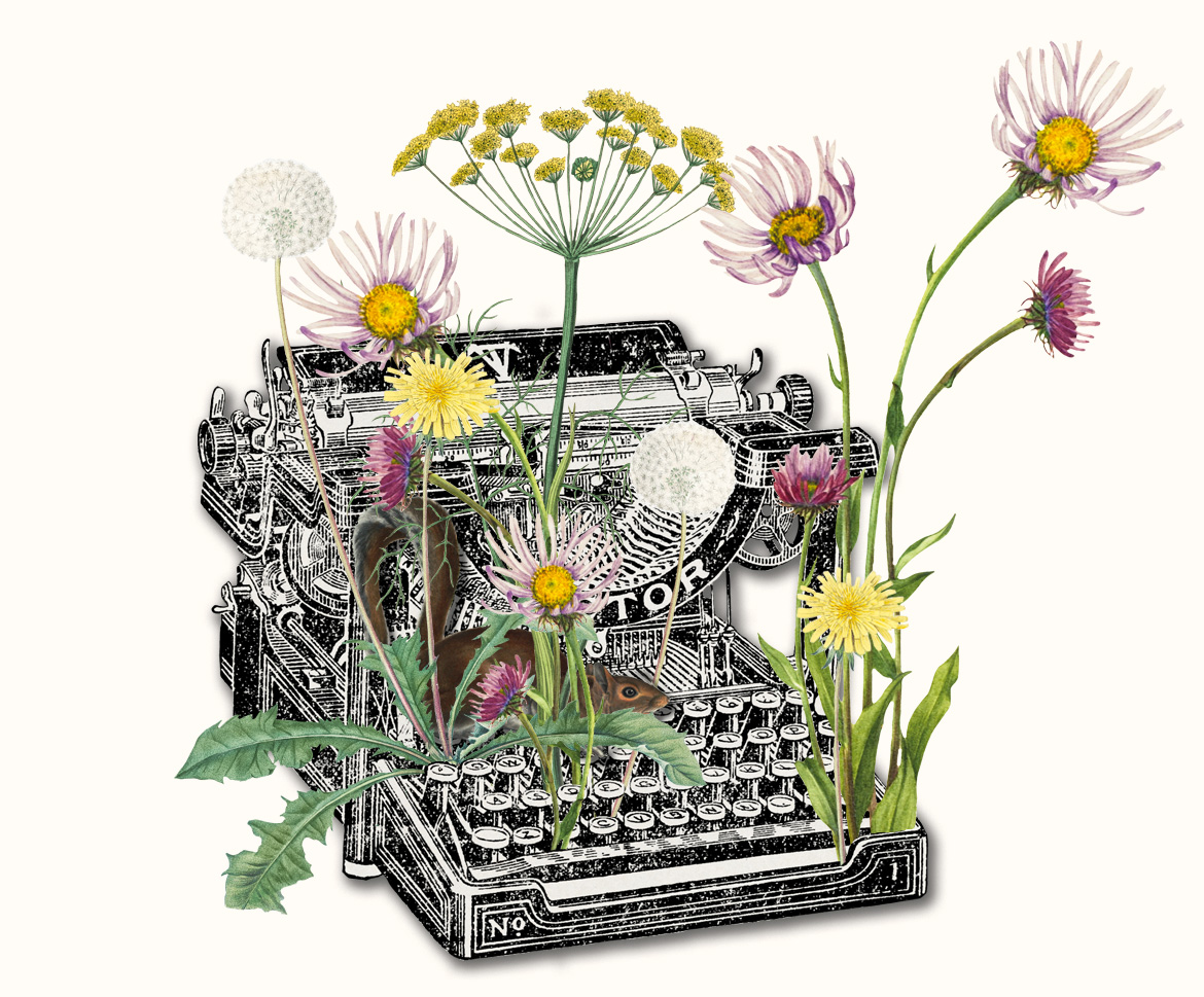 Una macchina da scrivere vintage di marca Victor con cui metaforicamente scrivo i racconti brevi. Da essa spuntano fiori di campo dai colori tenuti: margherite rosa, tarassaco e aneto. Tra i tasti e i fiori si nasconde anche un simpatico scoiattolino.