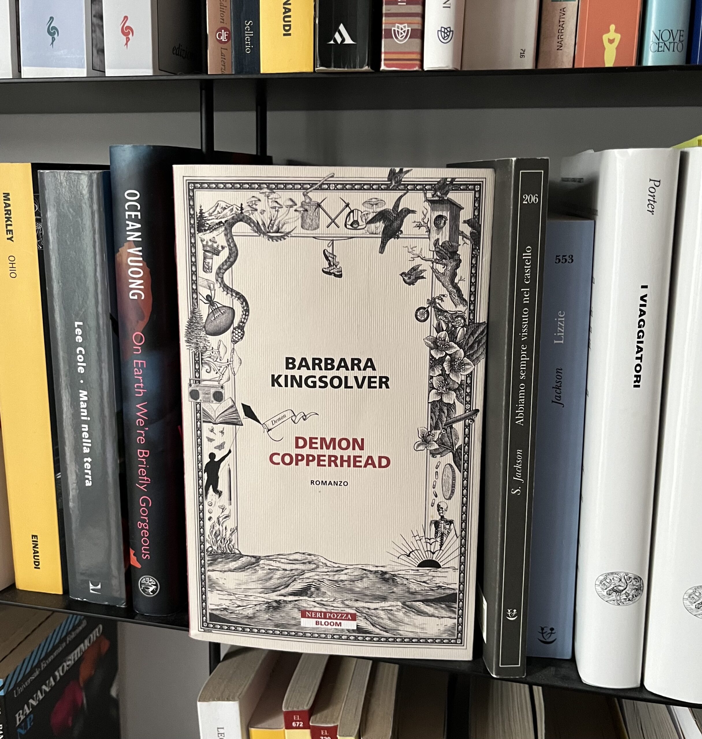 Copertina del romanzo Demon copperhead di Barbara Kingsolver