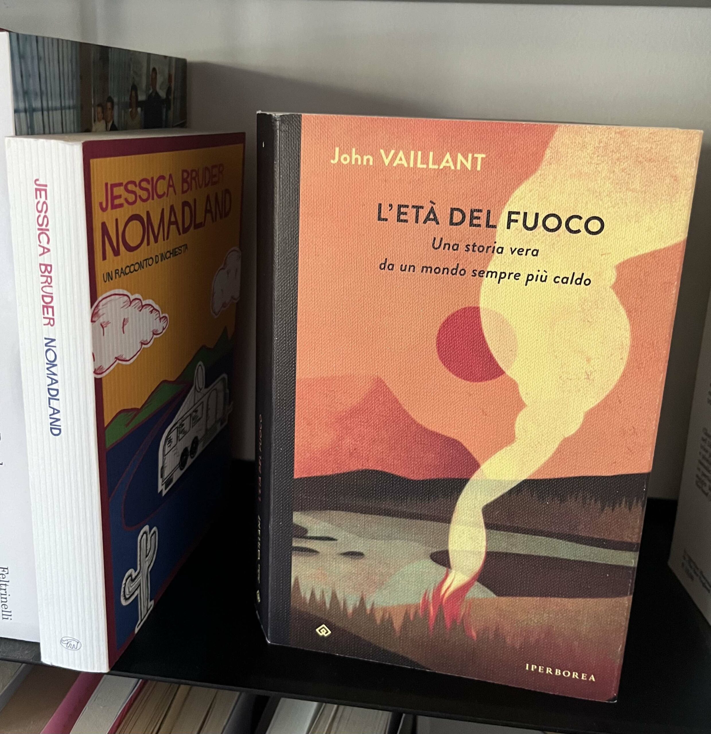 Copertina del saggio L'Età del fuoco con una illustrazione di un incendio in un bosco