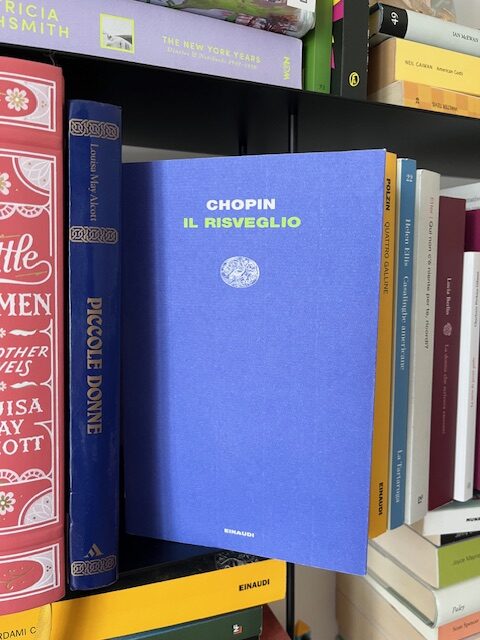 Copertina del romanzo Il risveglio: la scritta del titolo su uno sfondo blu.