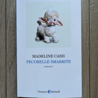 Copertica del romanzo Pecorelle smarrite con un pupazzo a forma di agnellino